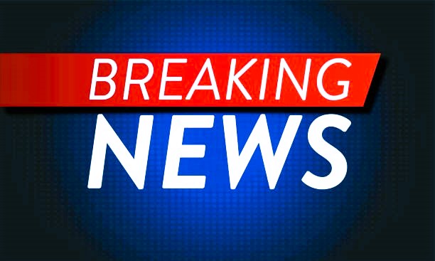 Amokfahrt! Frau klaut Streifenwagen und fährt zwei Menschen tot