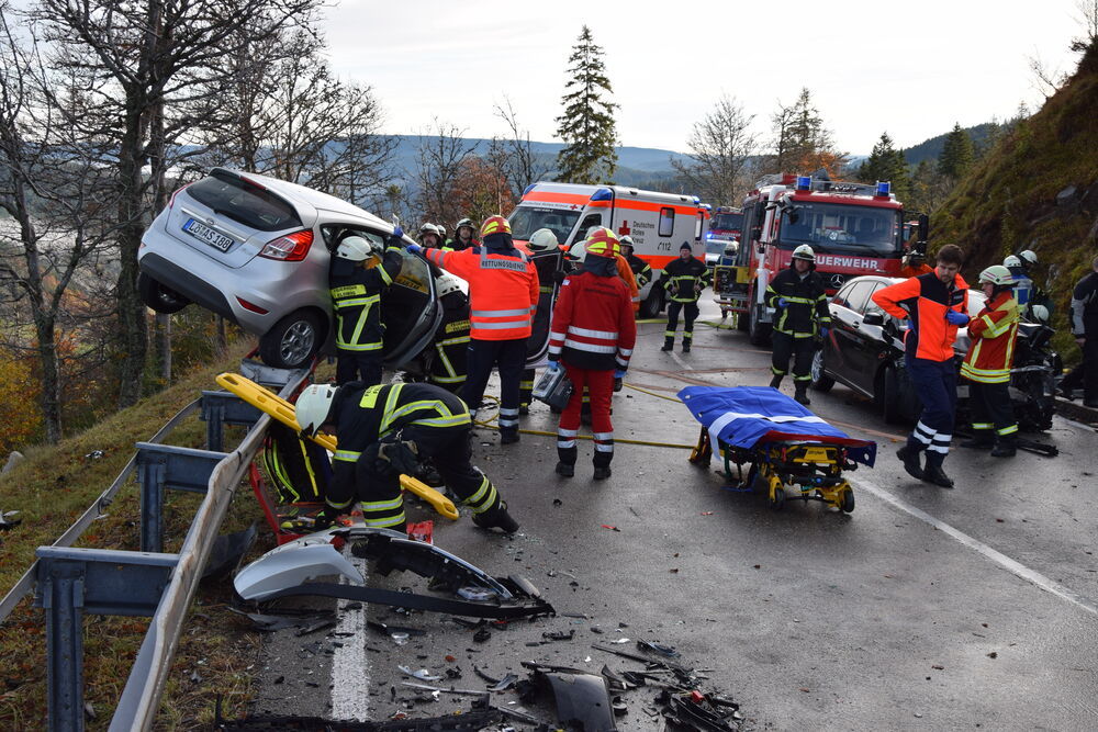 Tödliche Amokfahrt - Auto rast in Gruppe Kinder! - Amokfahrer für schuldfähig erklärt!